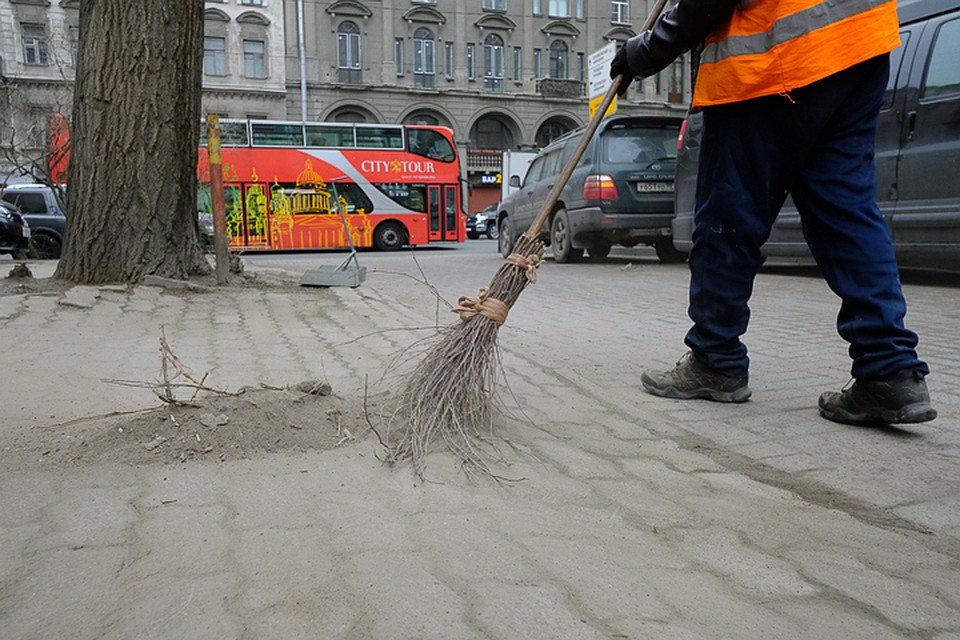 Петербуржцам предложили оценить качество осенней уборки улиц