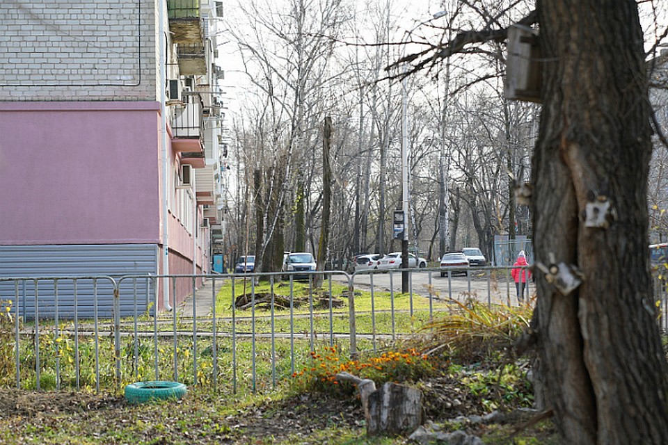 В Хабаровске для юных экологов обустроят «зебру» и тротуар