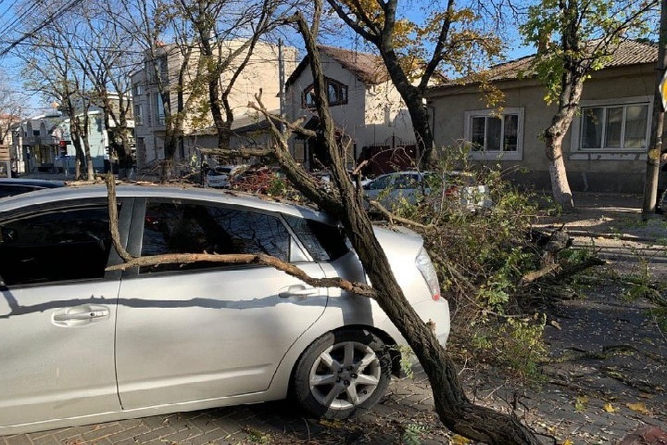 В центре Кишинева огромная сухая ветка рухнула на автомобиль
