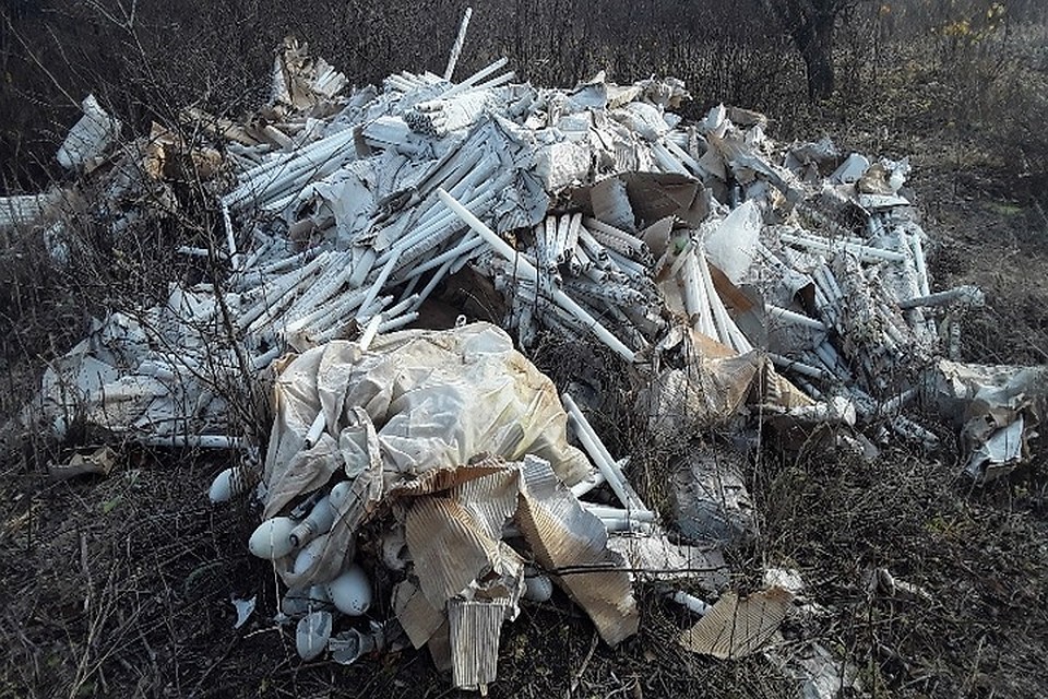 Фото: пресс-служба министерства экологии и природных ресурсов Татарстана