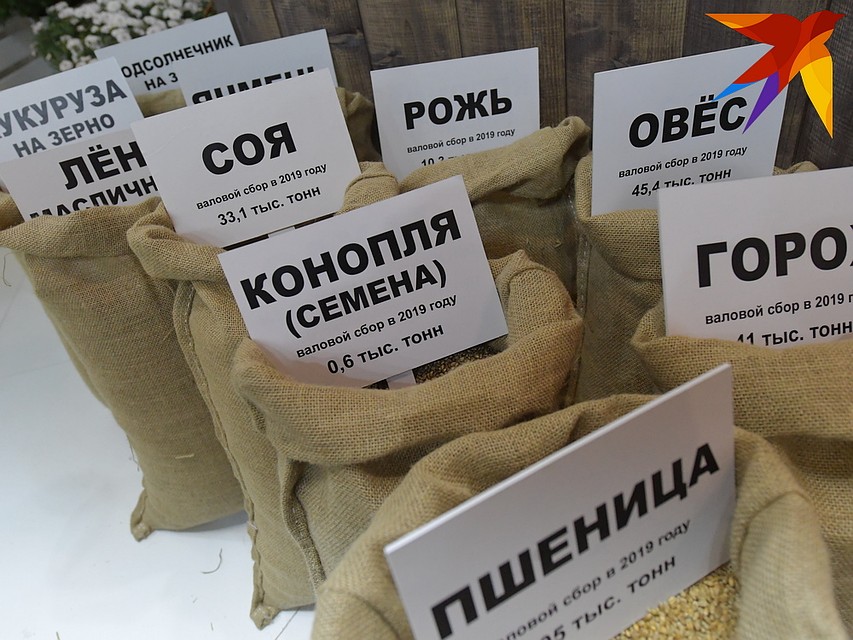 Семена конопли 90-летний профессор использовал для ловли рыбы.