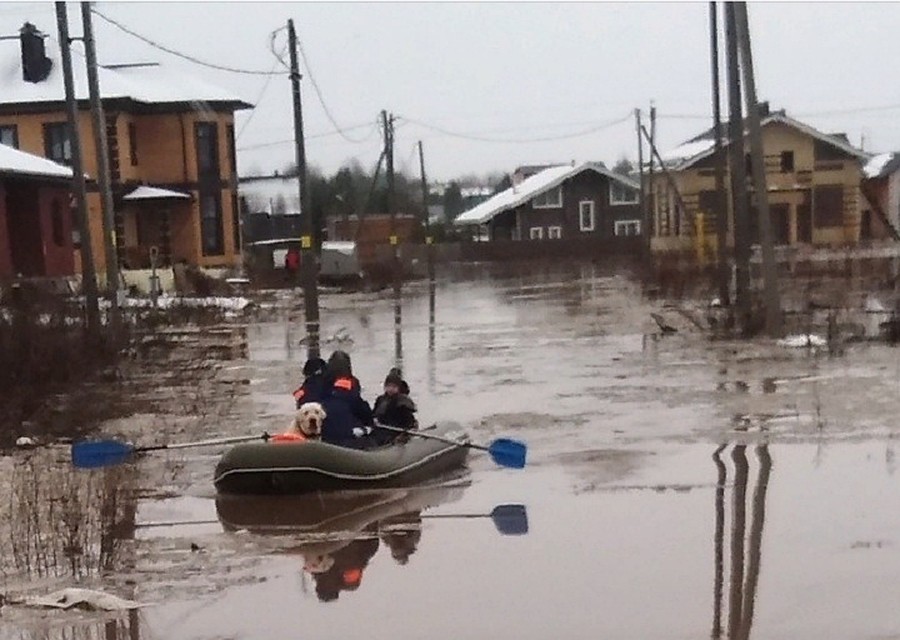 Фото: администрация Вологодского района.