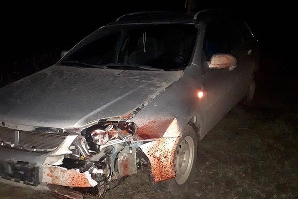 Фото: УГИБДД Чувашии