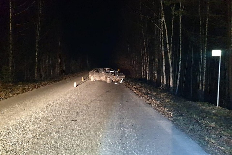 Фото: УГИБДД Марий Эл
