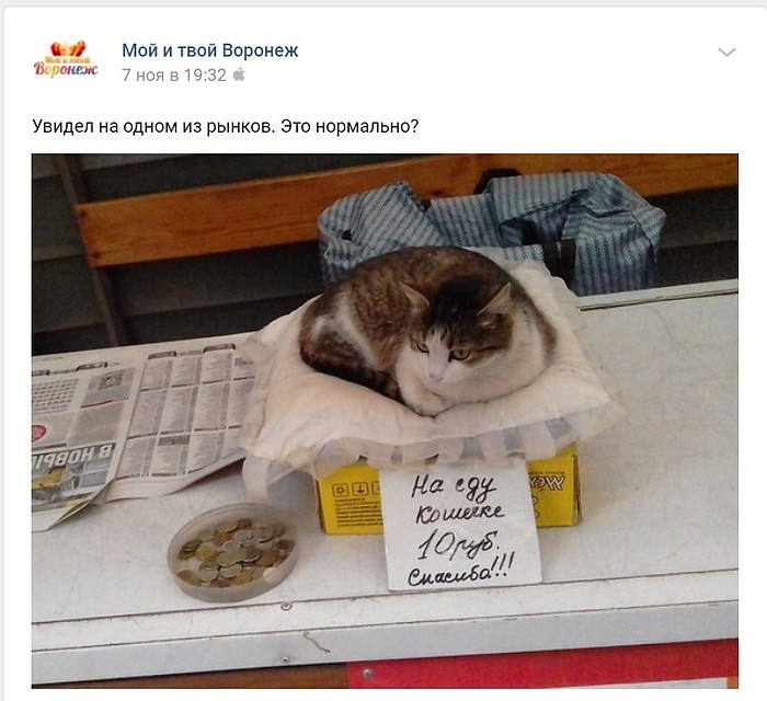 Фото: скриншот соцсети.
