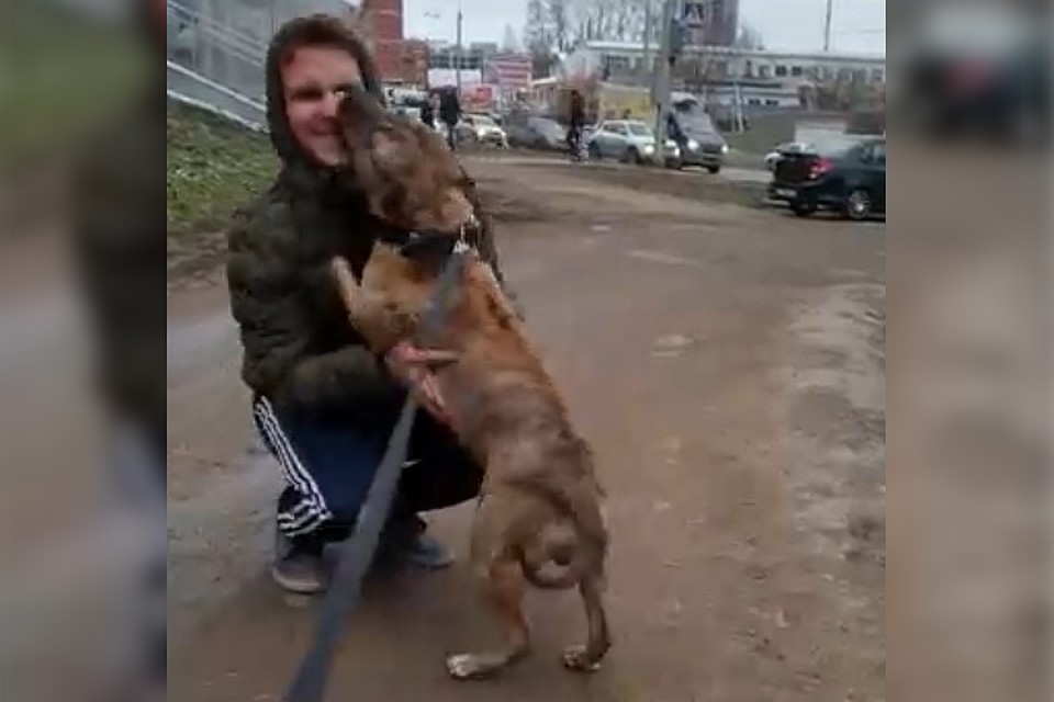 фото: скриншот видео