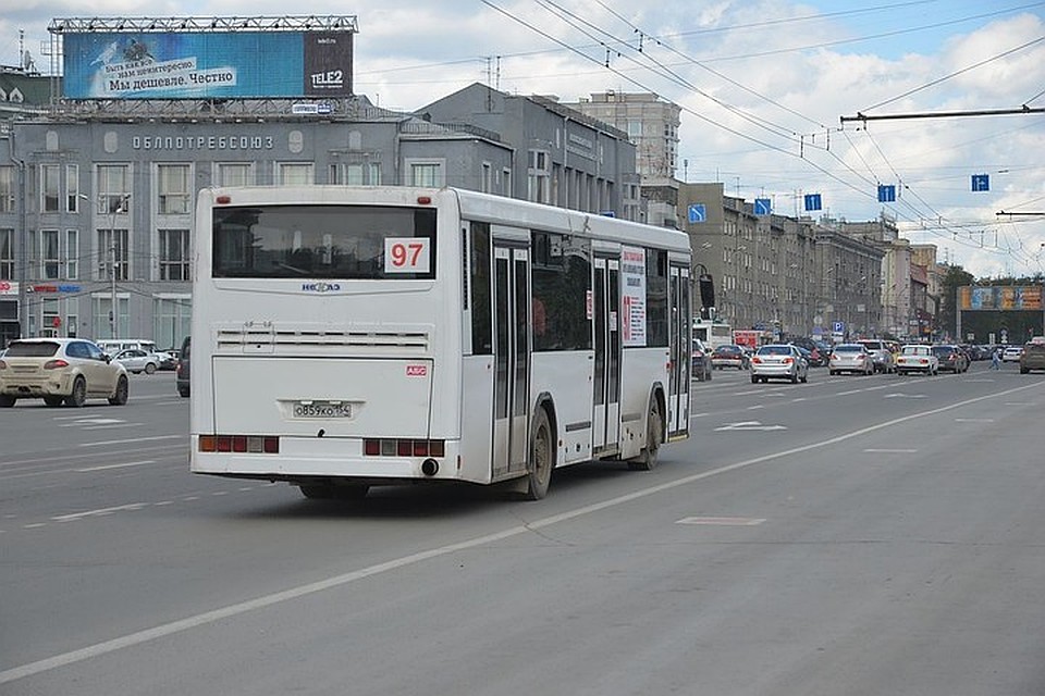 Уступают ли мужчины места в новосибирских автобусах?
