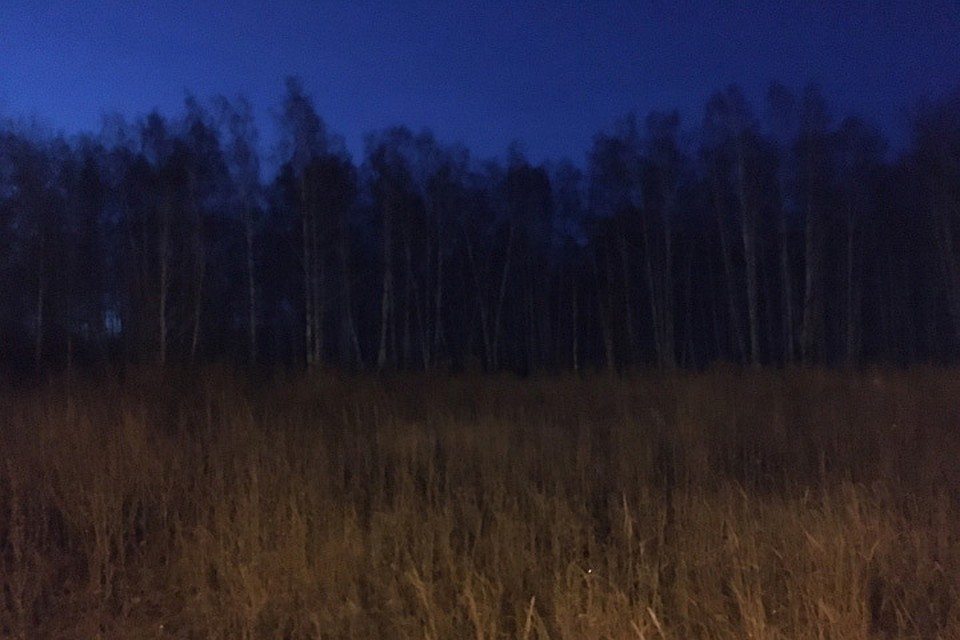 Вот такая дорога в школу. Фото: ОНФ