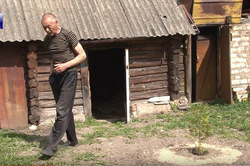 Отец погибшего молодого человека посадил тую в память о сыне на том месте, где его убили. Фото: кадр из видео телекомпании "Вектор".