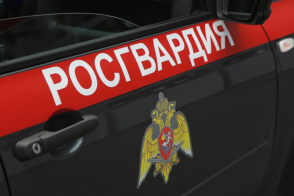 В Красноярске следователи проверяют факт избиения росгвардейцами 17-летнего школьника