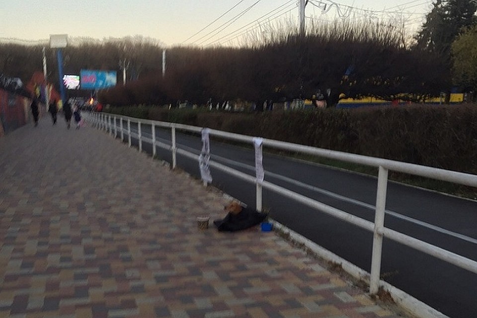 Фото: соцсети