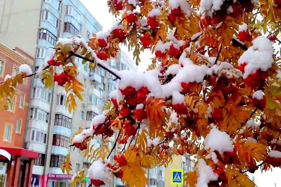 Лишь через северные, южные и юго-восточные районы будут проходить атмосферные фронтальные разделы.