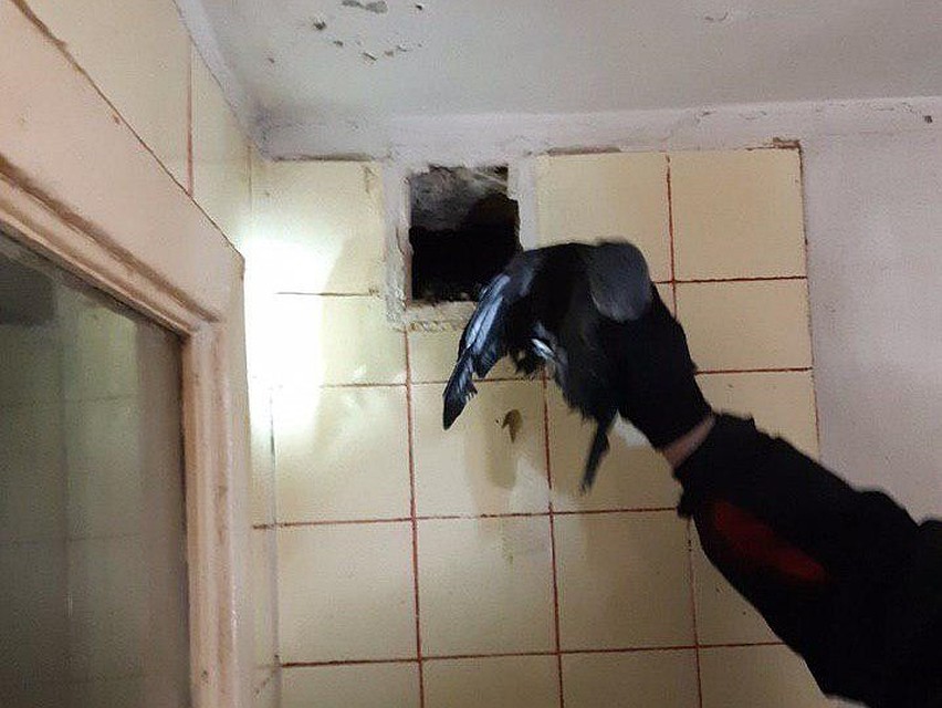 Фото Саратовского городской службы спасения