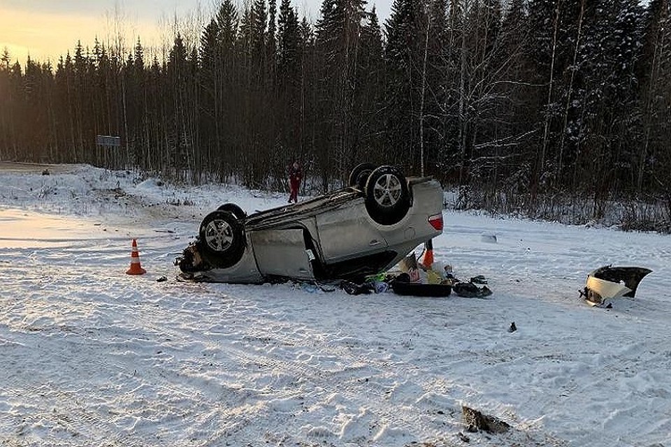 Фото: ГУ МВД по Пермскому краю