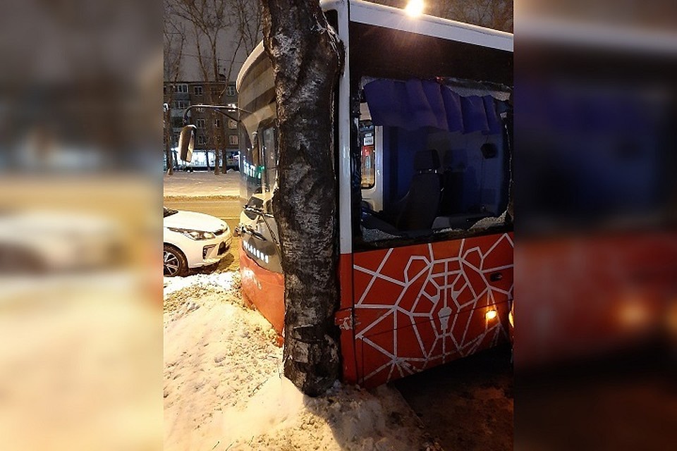 Водитель вышел на несколько минут, вернулся, а автобус уже мчится в дерево. Фото: ЧП.ДТП.Пермь