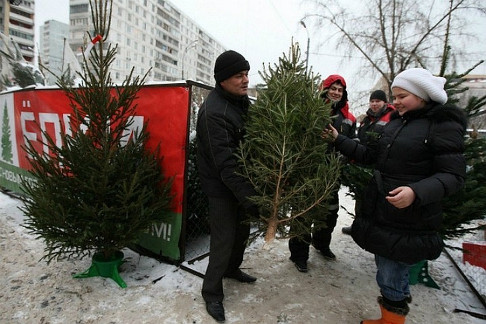 Большинство участков стали уже традиционными елочными базарами 2019 во Владивостоке