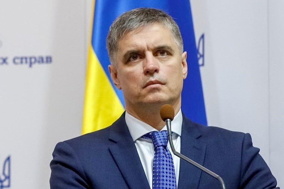 В вопросе об особом статусе Донбасса Вадим Пристайко сделал шаг навстречу ДНР и ЛНР, но оставил поле для маневра. Фото: МИД Украины