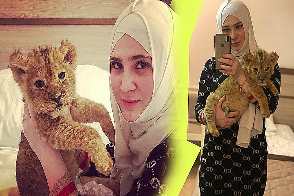 Джикаева торгует хищниками