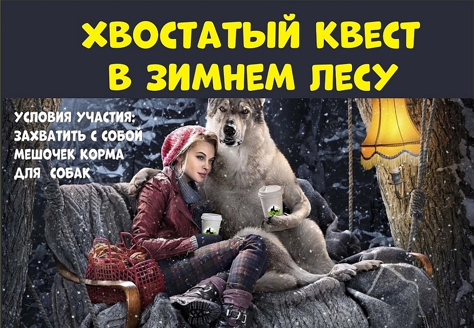 Фото: приют "Дино"