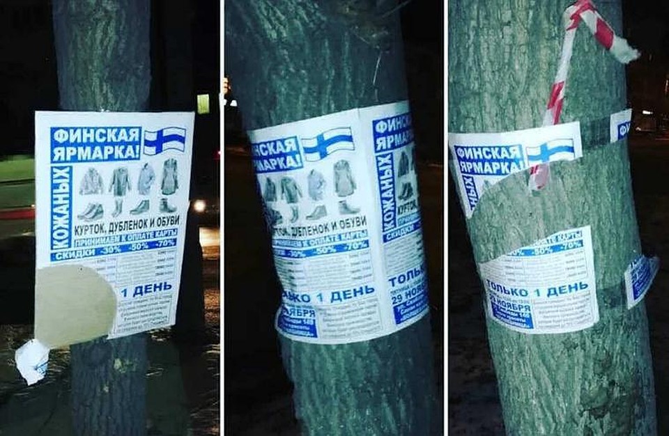 Павел Кочнев намерен избавить город от "финских" объявлений на деревьях.