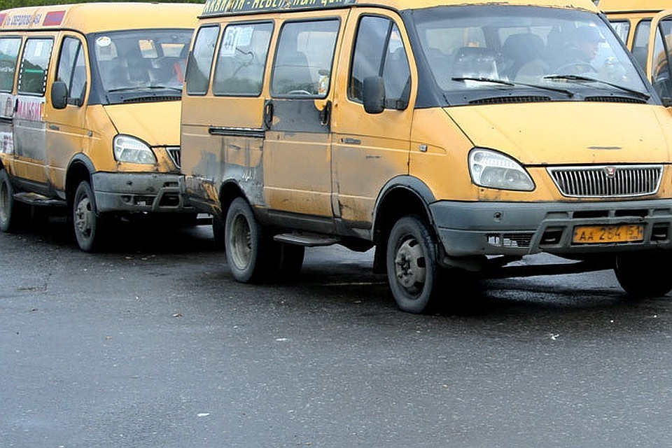 Возбуждено уголовное дело