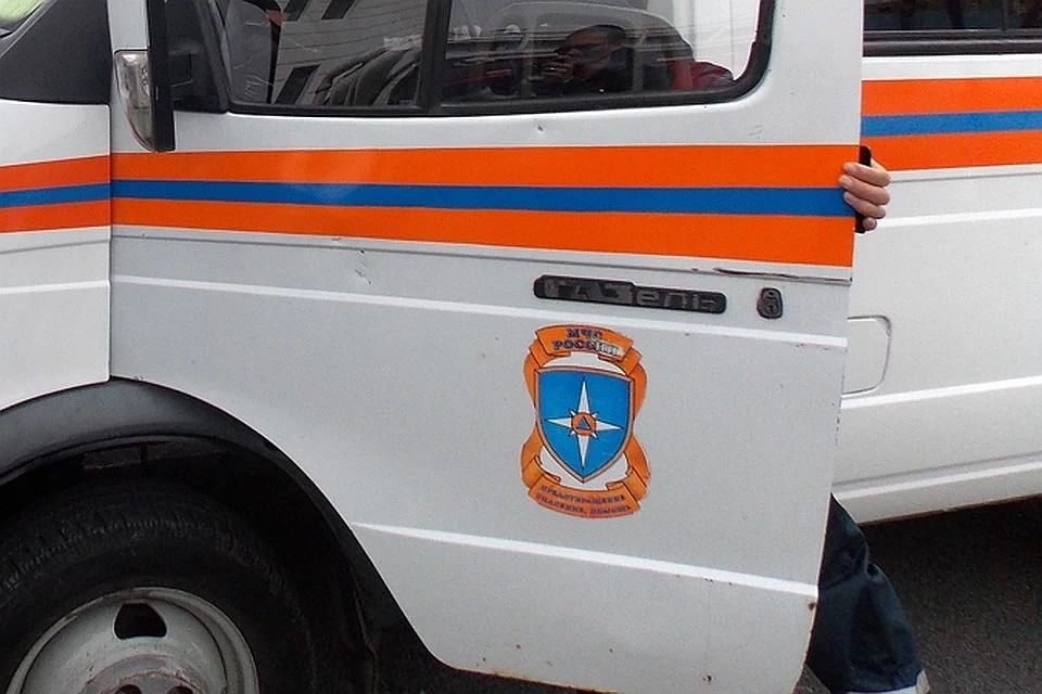 Обе женщины страдают избыточным весом
