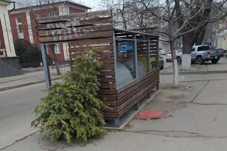 Новогодние ёлки нужно оставлять возле мусорных баков. Фото: aif.md