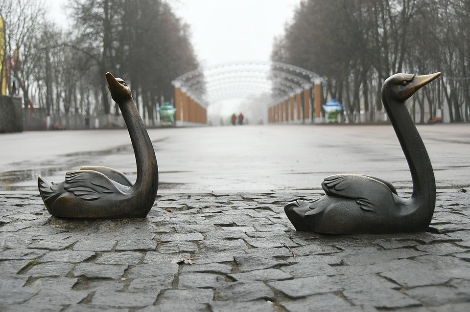 Фото: Алексей ФОКИН