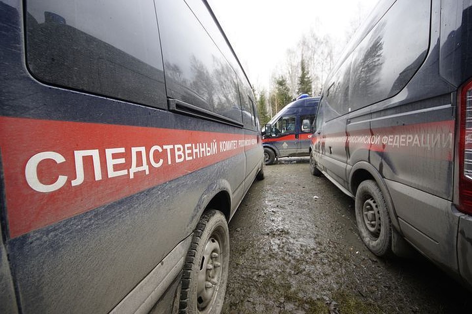 В организации незаконной деятельности разбираются специалисты