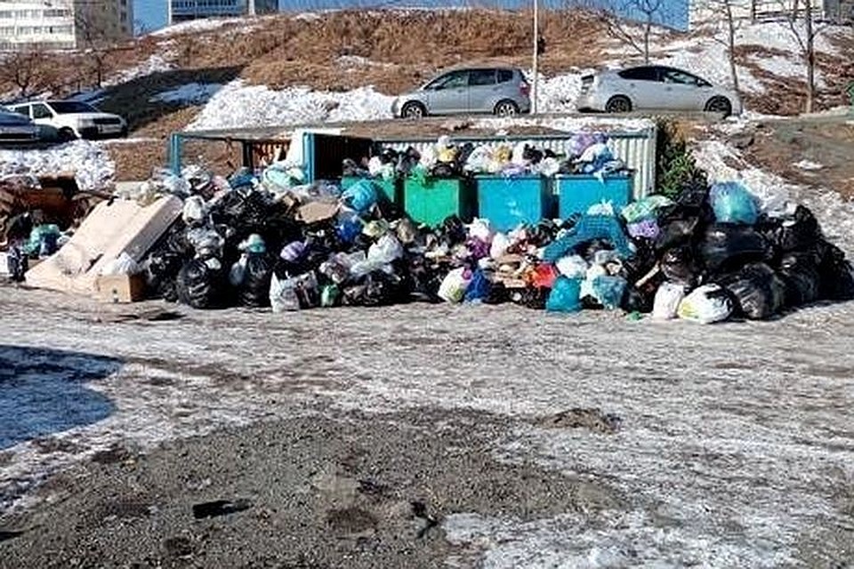 Вывоз мусора во Владивостоке – одна из актуальных проблем. Фото: dpskontrol125rus