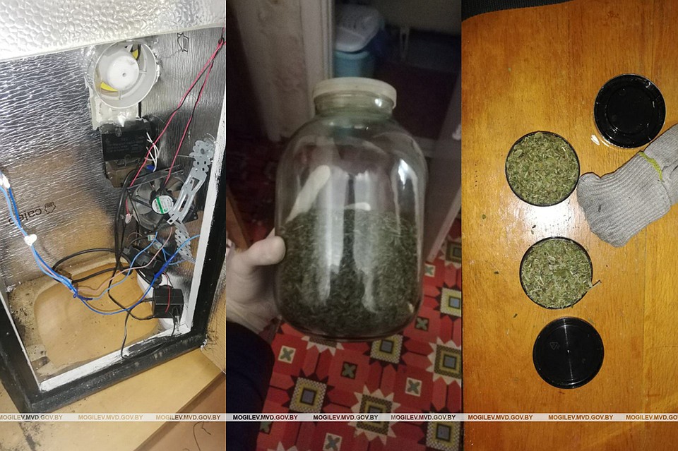 Фото: УВД Могилевского облисполкома