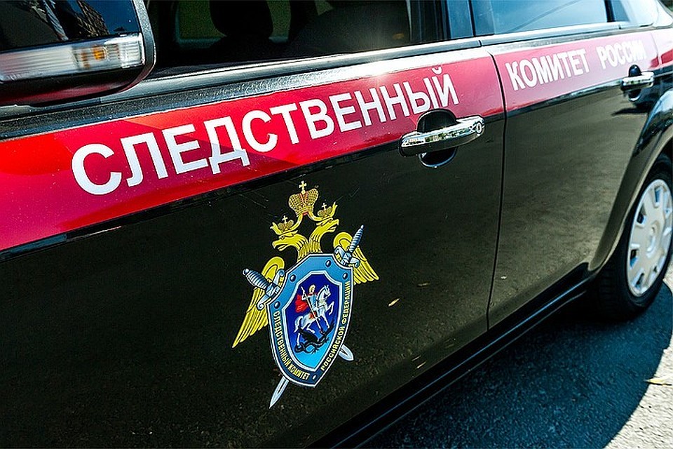 Следователи выясняют обстоятельства жизни семьи из Купчино, в которой избивали 6-летнюю дочь.