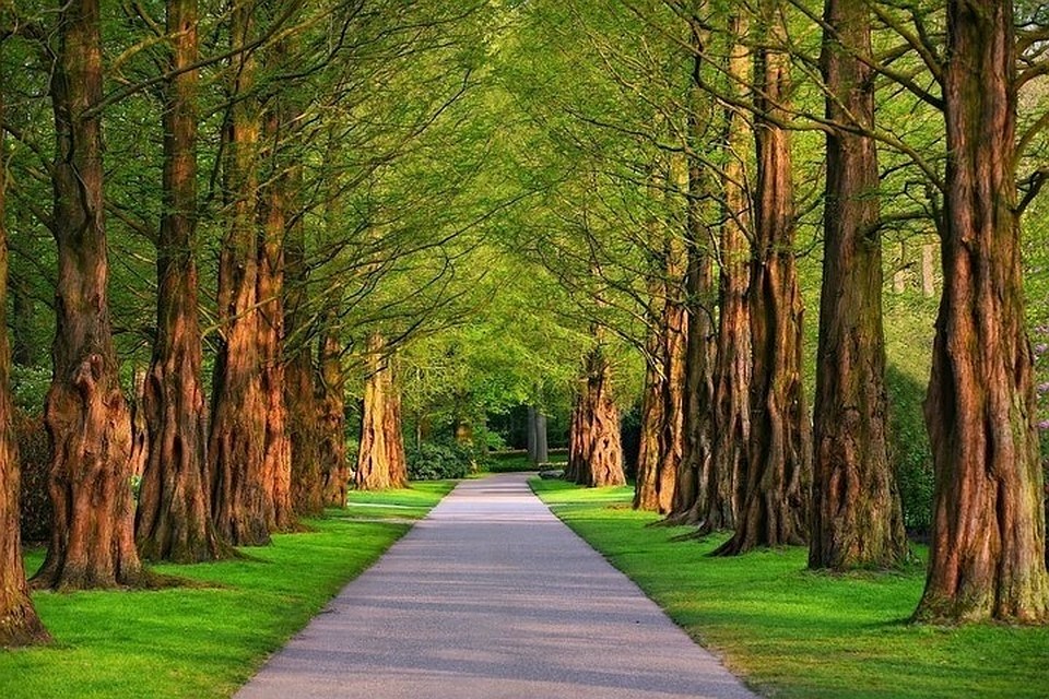 Фото: pixabay.com