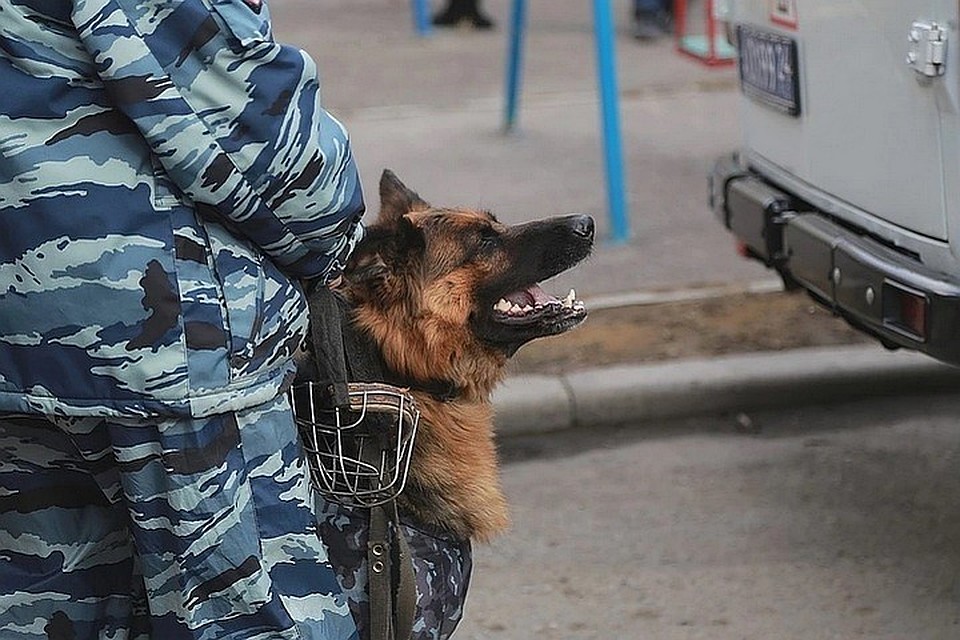 21 января также эвакуировали из-за угроз взрыва два детских сада, семь районных судов, Курский вокзал, аэропорты Домодедово и Шереметьево