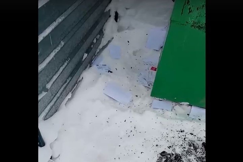 Заметившие это жители микрорайона Шлюз засняли это на видео и выложили в сеть. Фото: кадр из видео