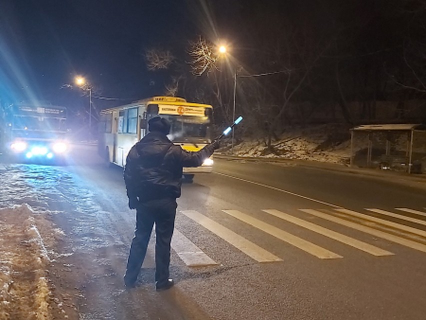 Госавтоинспекторы проводят рейды. Фото: УМВД по Приморскому краю