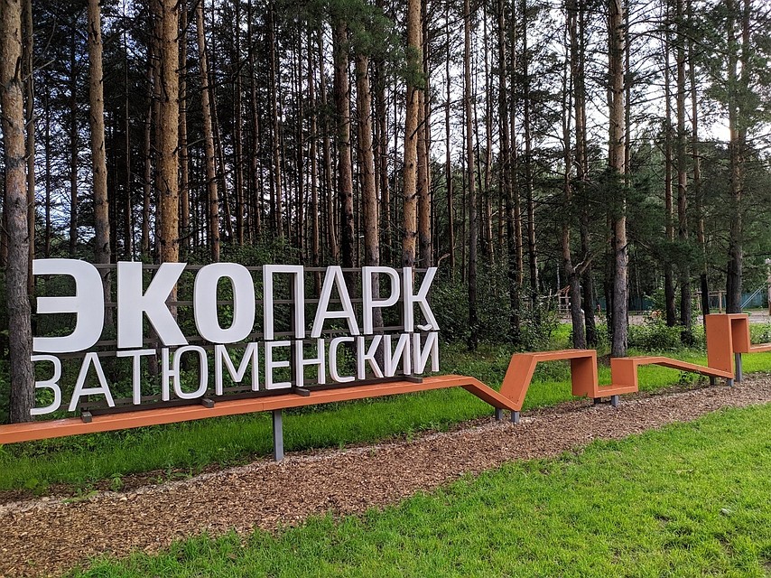 В экопарке «Затюменский» могут появиться боксерские груши.