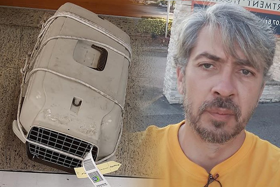Зооперевозчик Максим Чумаченко поведал, что в Шереметьево ему выдали раздавленные в багаже переноски с животными - два из трех его питомцев в итоге скончались.