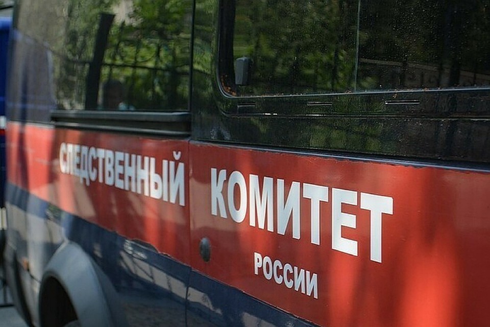 СК проводит проверку по факту избиения школьника мачехой за неправильно написанную букву