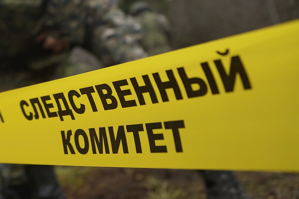 СК проверит работу металлодетекторов, а также записи с камер видеонаблюдения