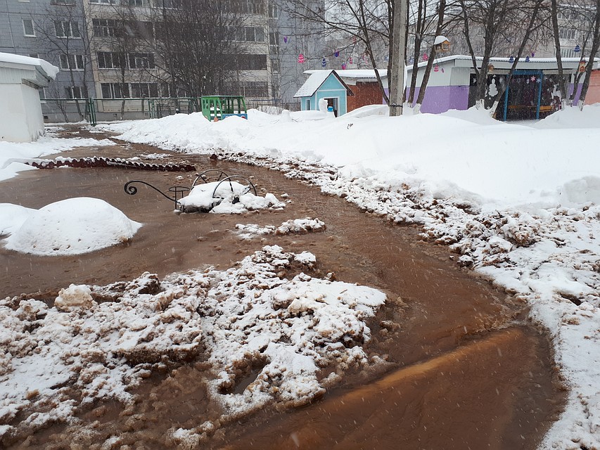 Фото: Захарова Анастасия