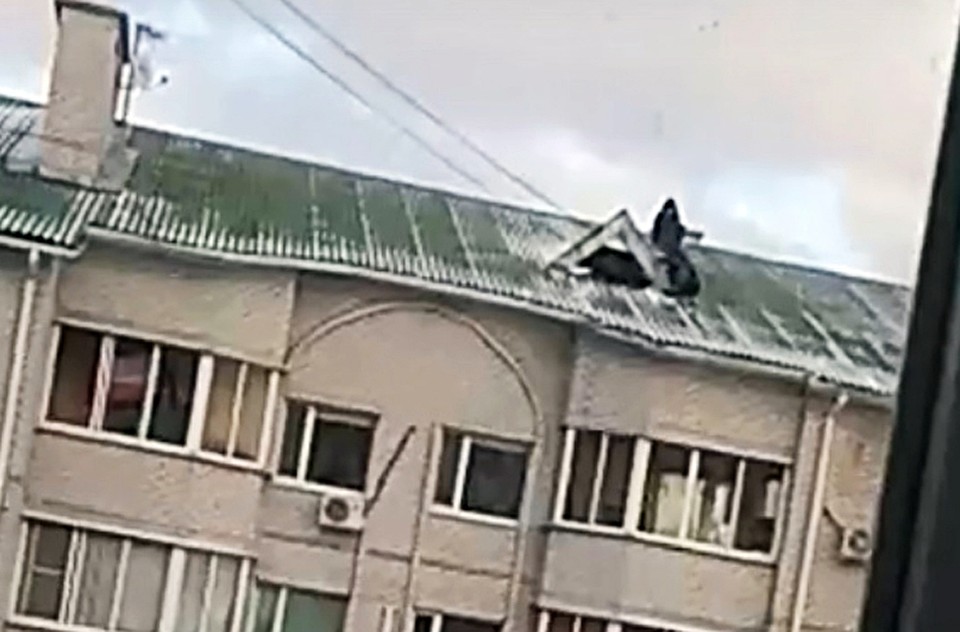 Может, хотя бы после этого видео чердак закроют?