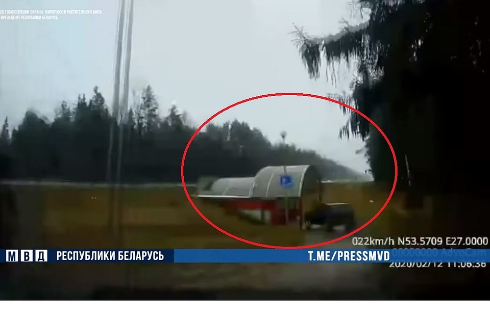 Браконьеры на "Ниве" въезжают в подземный переход. Фото: стоп-кадр.