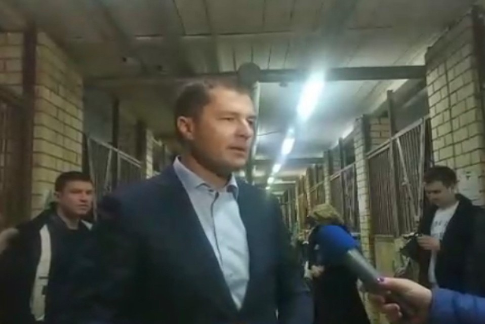 Волков рассказал, что в конноспортивной школе находится около ста лошадей