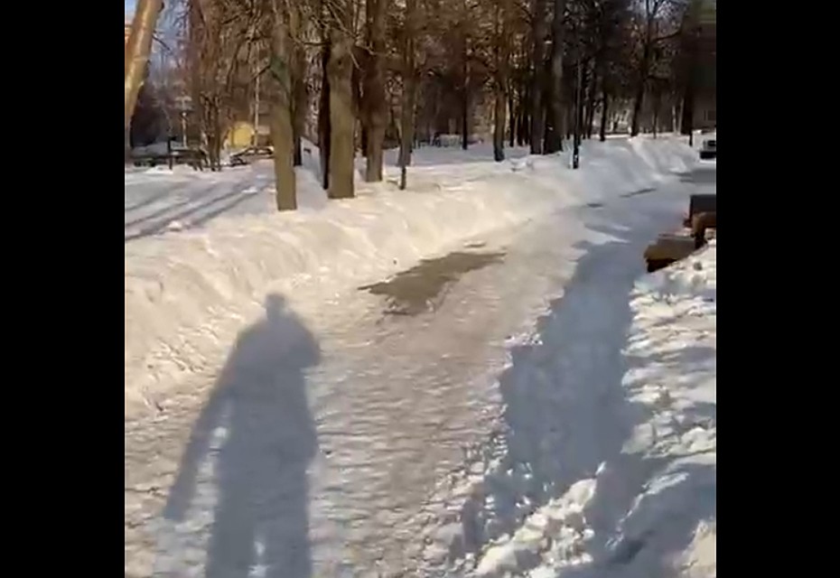 Фото: скриншот видео,vk.com/olegbekmemetev