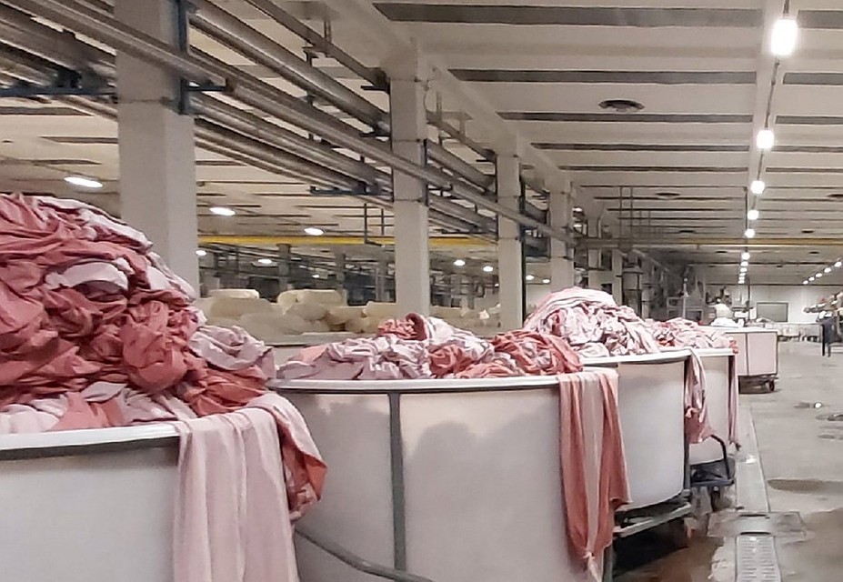 Фото: Администрация Курской области