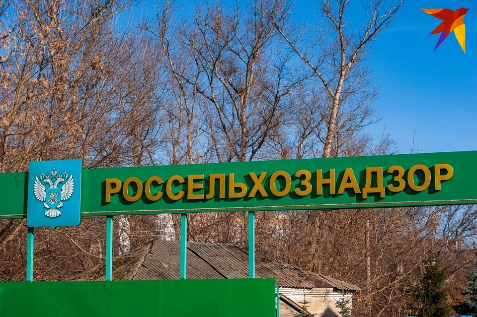 В Орле сняли с продажи семена огурца «Китайского болезнеустойчивого»