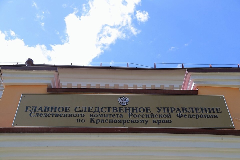 Уголовное дело об избиении ребенка тоже передадут в Следком