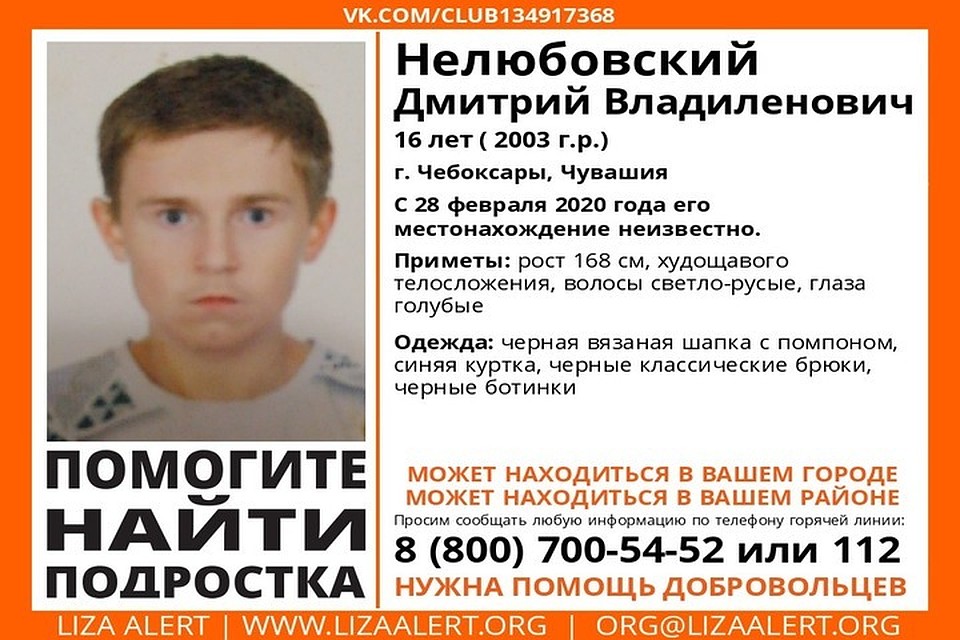 Фото: ПСО "Лиза Алерт"