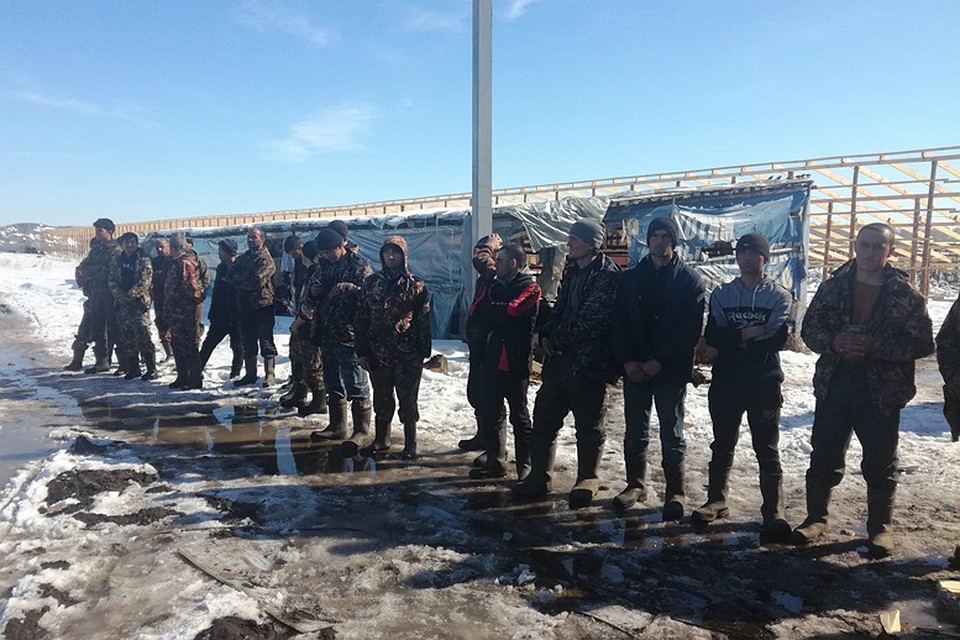 В теплицах под Челябинском прошли рейды.